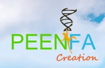 Peenfa Creation